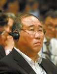 Chinesische Netizens zur Rede des Delegierten Xie Zhenhua auf der Klimakonferenz in Durban
