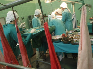 Keine Organe von Strafgefangenen Keine Organe von Strafgefangenen