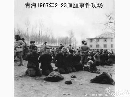 „Wie in der Kulturrevolution“: Chinas Netizens diskutieren über die Terrorgruppe IS