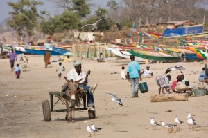 Migration: Chinesen in Afrika Migration: Chinesen in Afrika